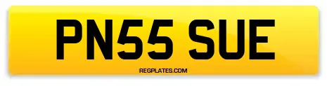 PN55 SUE