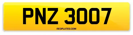 PNZ 3007