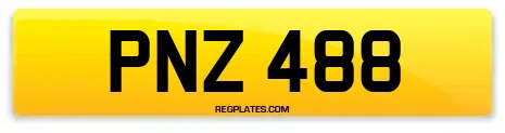 PNZ 488