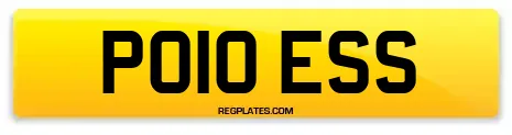 PO10 ESS