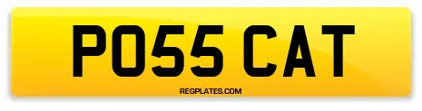 PO55 CAT
