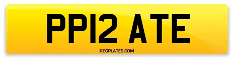 PP12 ATE
