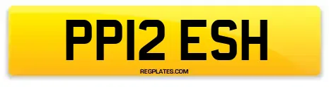 PP12 ESH
