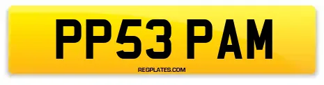 PP53 PAM