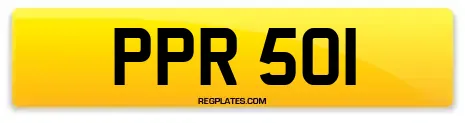 PPR 501
