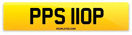 PPS 110P