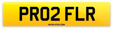 PR02 FLR