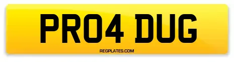 PR04 DUG