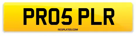 PR05 PLR
