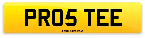 PR05 TEE