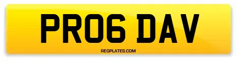 PR06 DAV