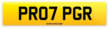 PR07 PGR