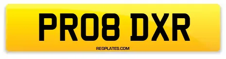 PR08 DXR