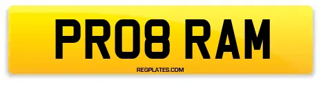 PR08 RAM