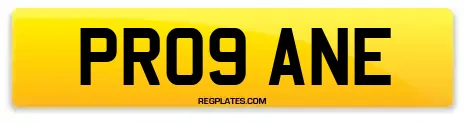 PR09 ANE