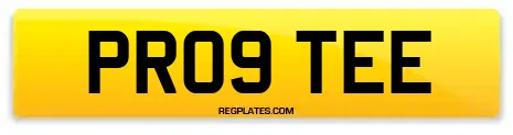 PR09 TEE