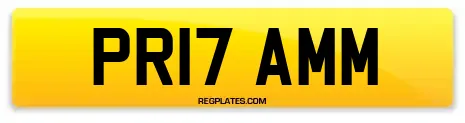 PR17 AMM