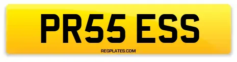 PR55 ESS
