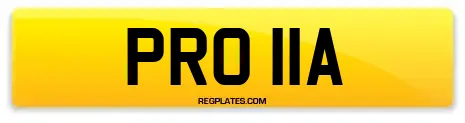 PRO 11A