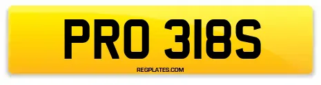 PRO 318S