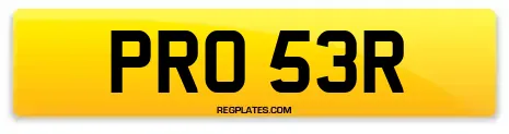 PRO 53R