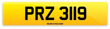 PRZ 3119