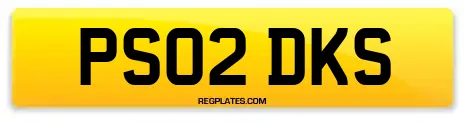 PS02 DKS