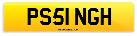 PS51 NGH