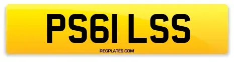 PS61 LSS
