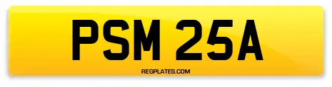 PSM 25A
