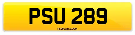 PSU 289