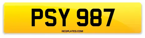 PSY 987