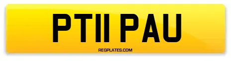 PT11 PAU