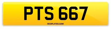 PTS 667