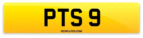 PTS 9