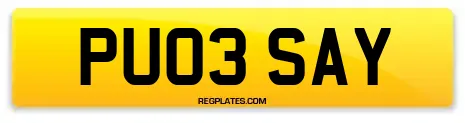 PU03 SAY