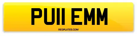 PU11 EMM