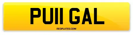 PU11 GAL