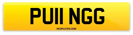 PU11 NGG