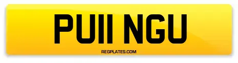 PU11 NGU