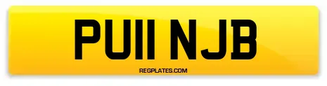 PU11 NJB