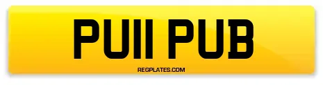 PU11 PUB