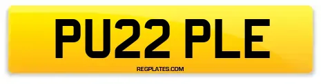 PU22 PLE