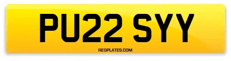 PU22 SYY