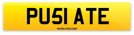 PU51 ATE