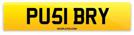 PU51 BRY