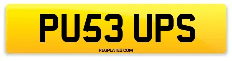 PU53 UPS