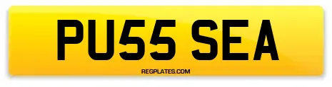 PU55 SEA