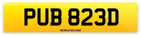 PUB 823D