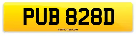 PUB 828D